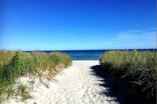 auf Fehmarn an der Ostsee, 