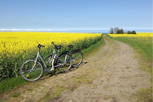 300 km Radwege erwarten dich  auf Fehmarn und ganz ohne Berge
