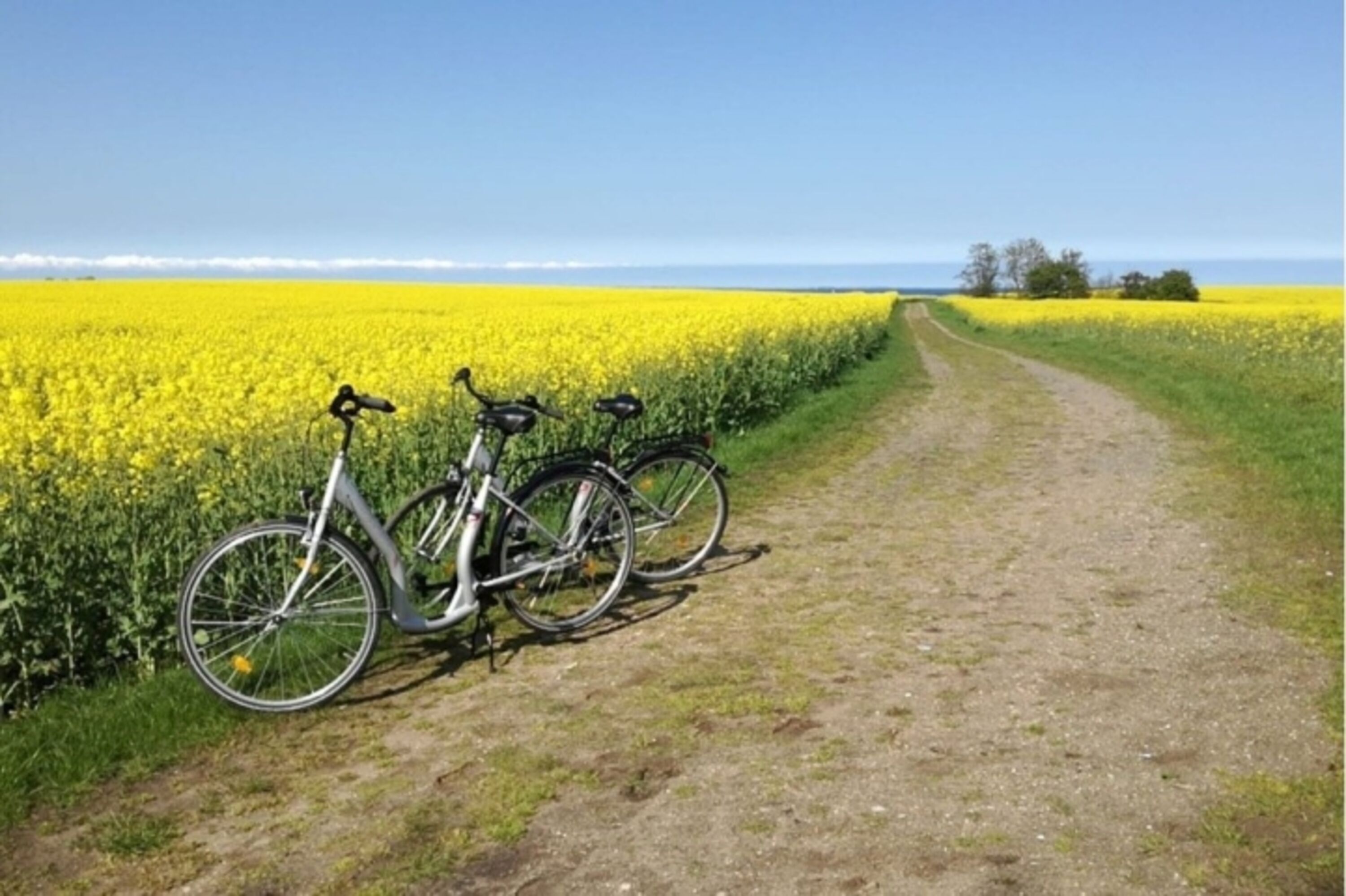 300 km Radwege erwarten dich auf Fehmarn und ganz ohne Berge