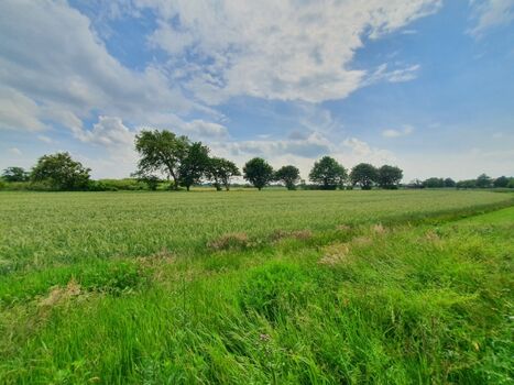 Die liebliche Duhner Naturlandschaft direkt rund um Ihr Urlaubsdomizil!