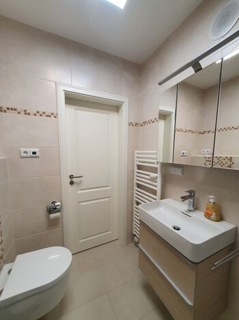 ...Handtuchheizung, Wellness-Radio, Spiegelschrank, Waschmaschine und Fön