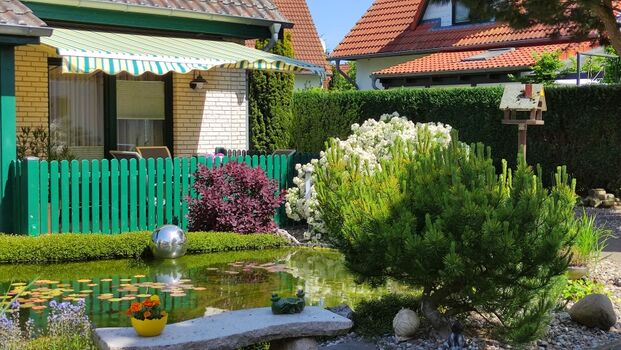 Blick über den Koiteich zur Terrasse