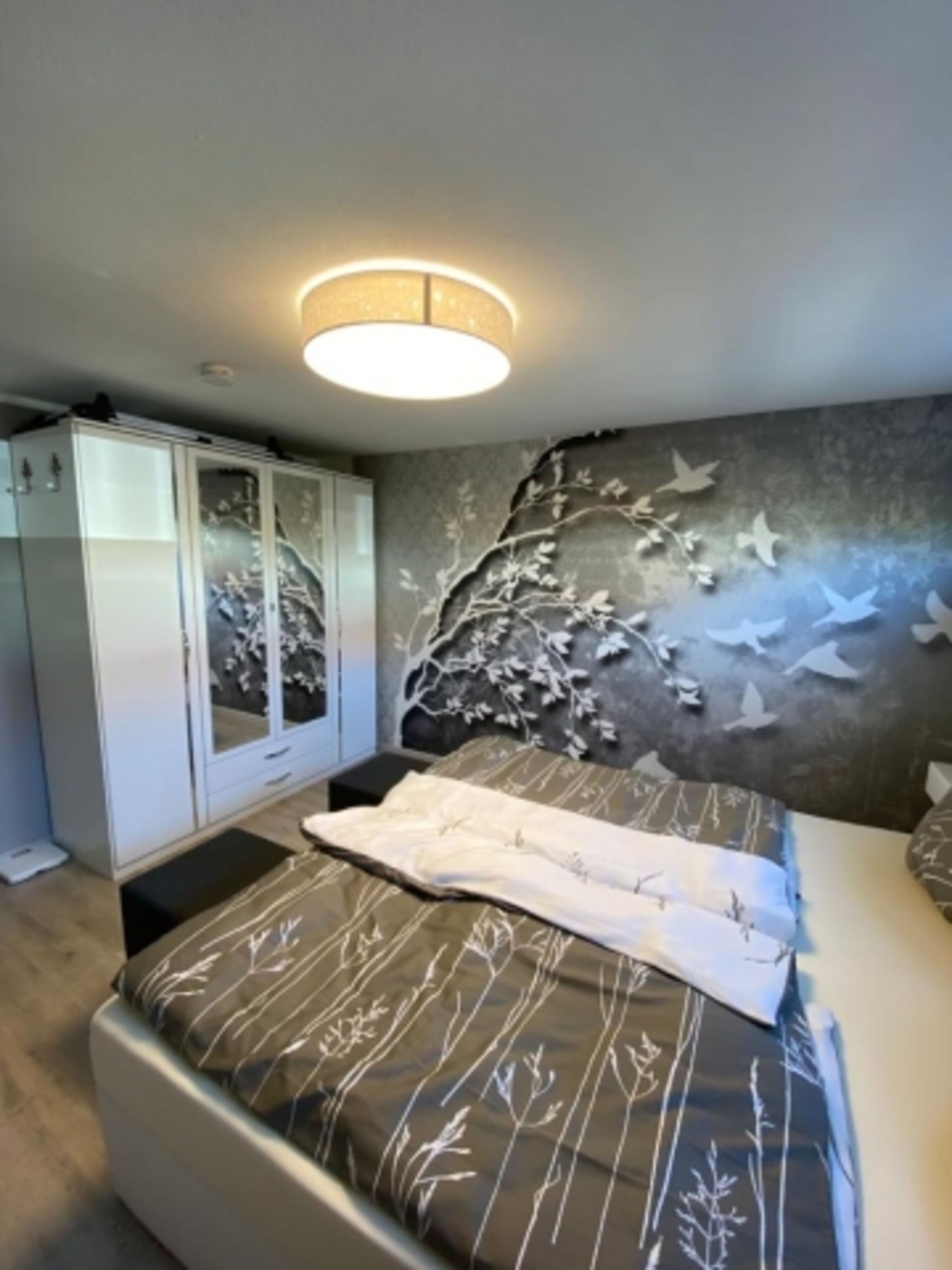 Bild 15