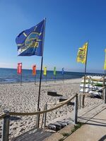 Ferienwohnung Kellenhusen in Strandlage