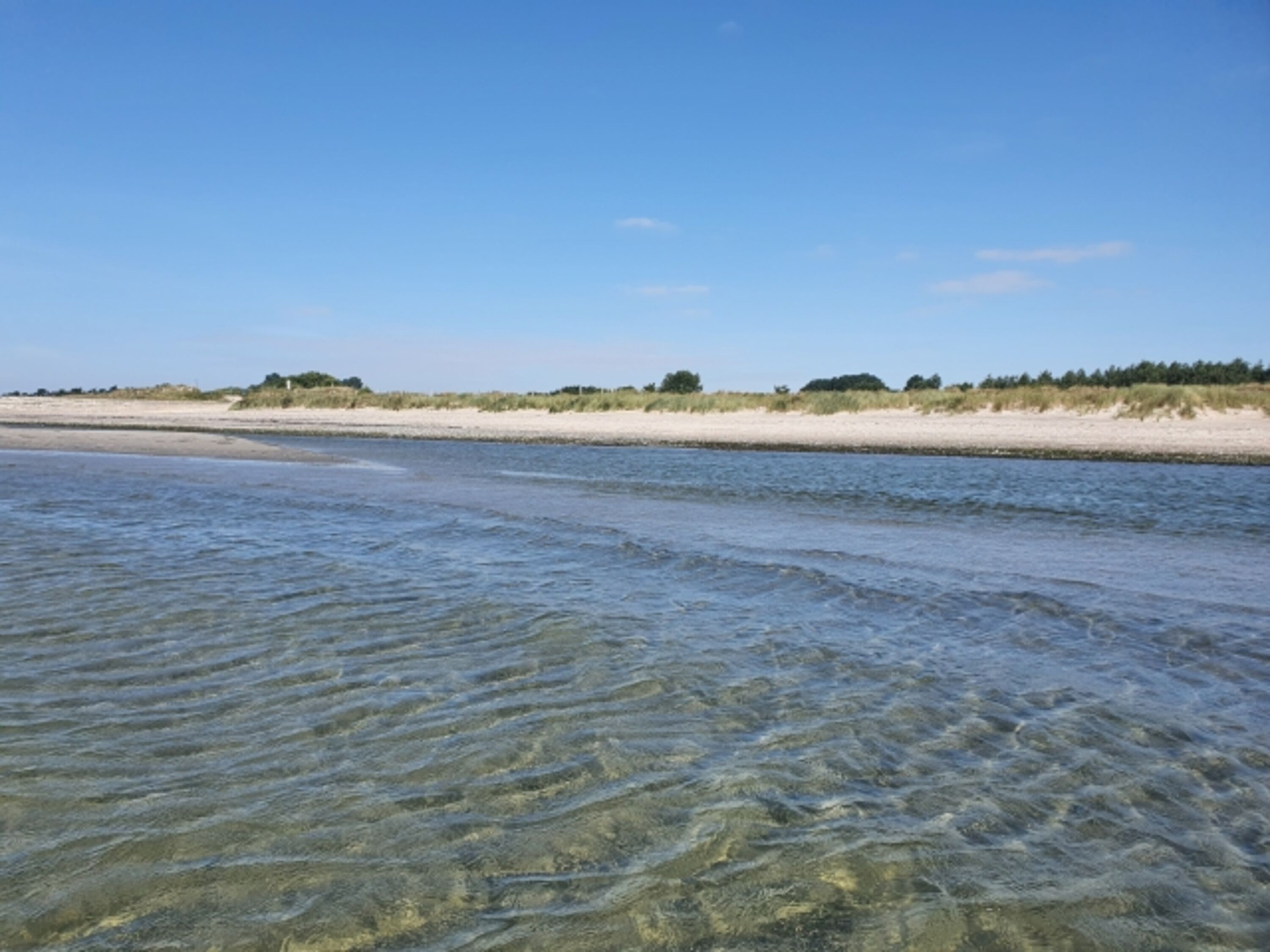 Hundestrand Klostersee