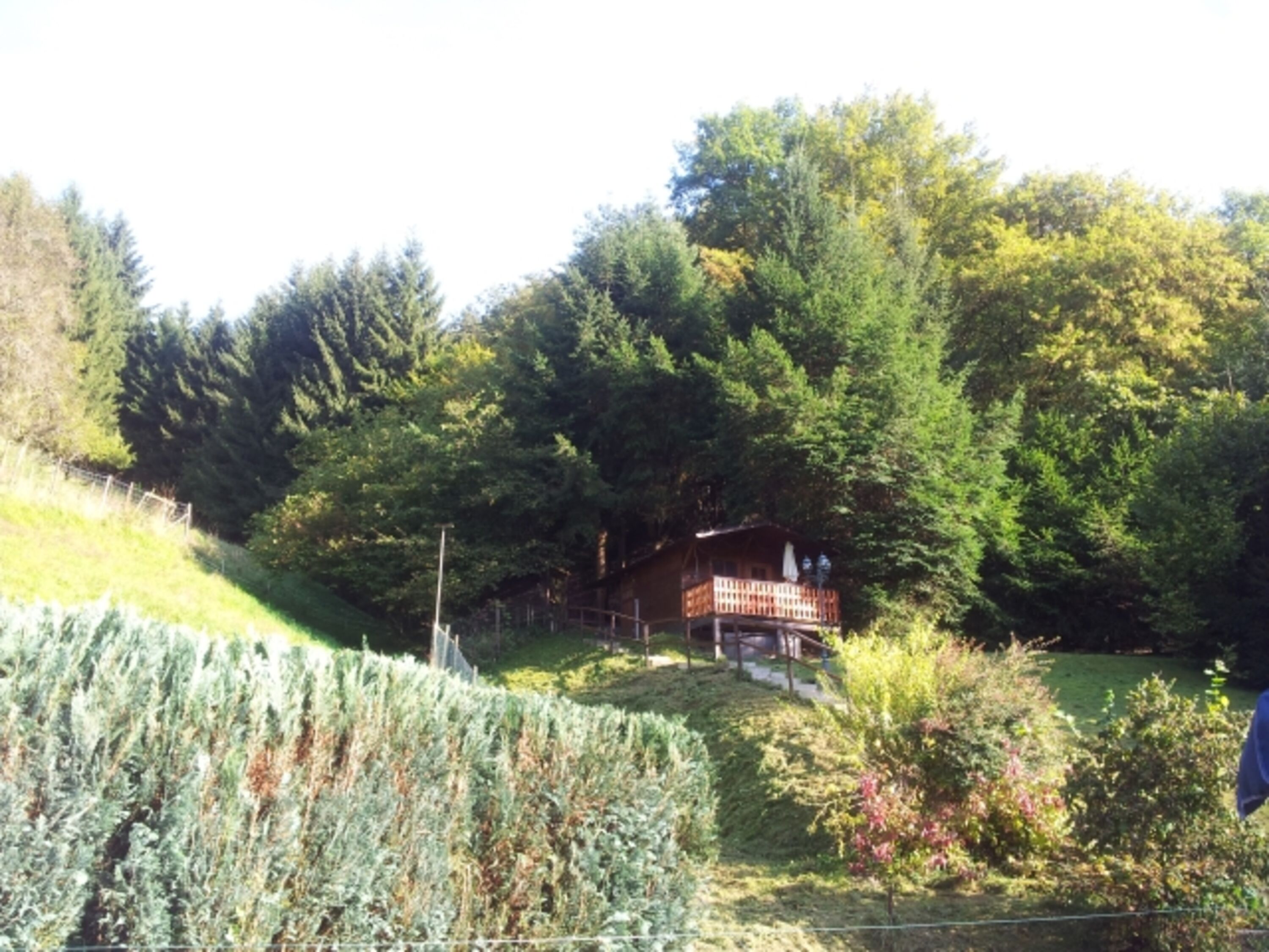 Bild 12