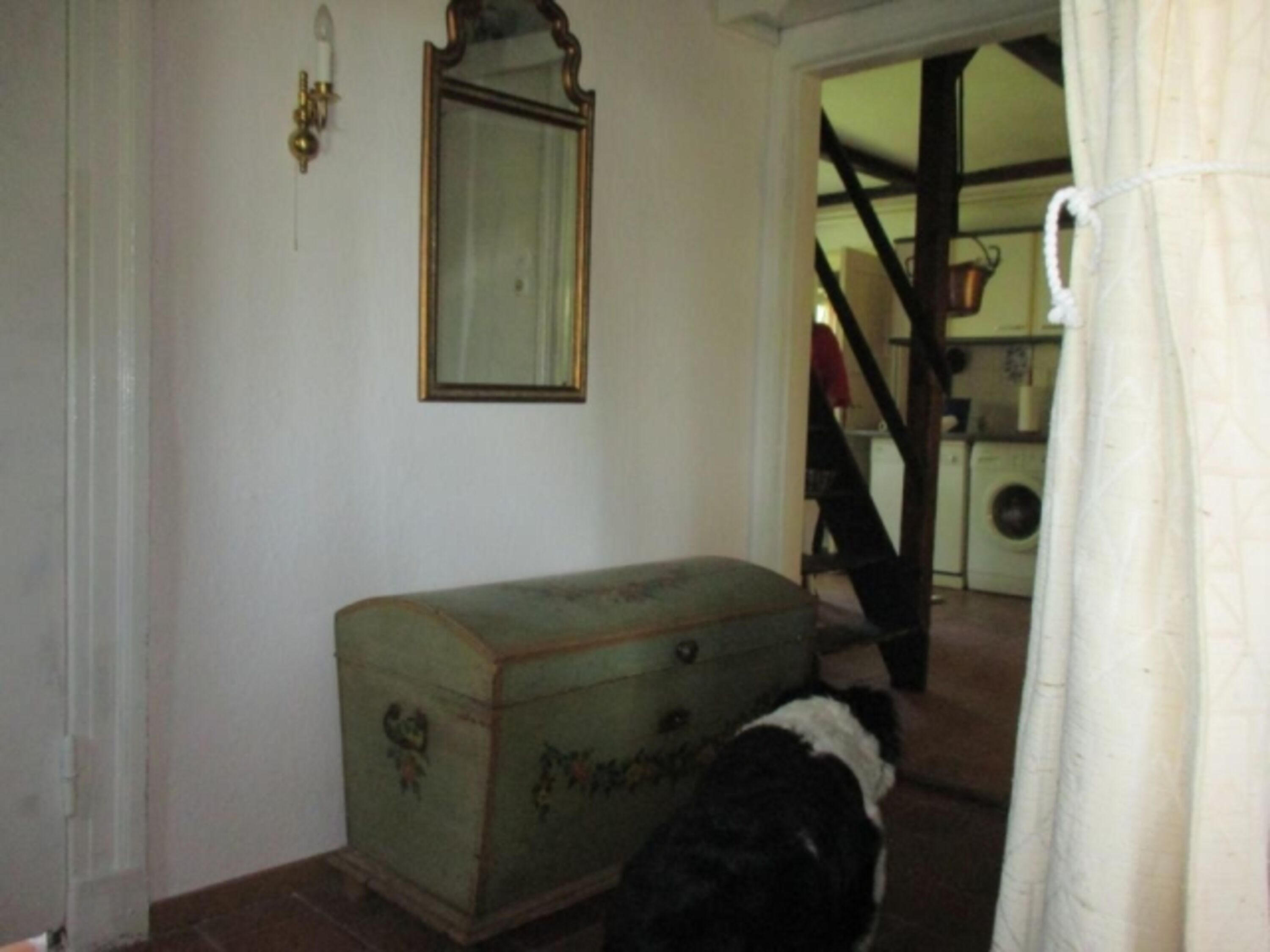 Bild 15