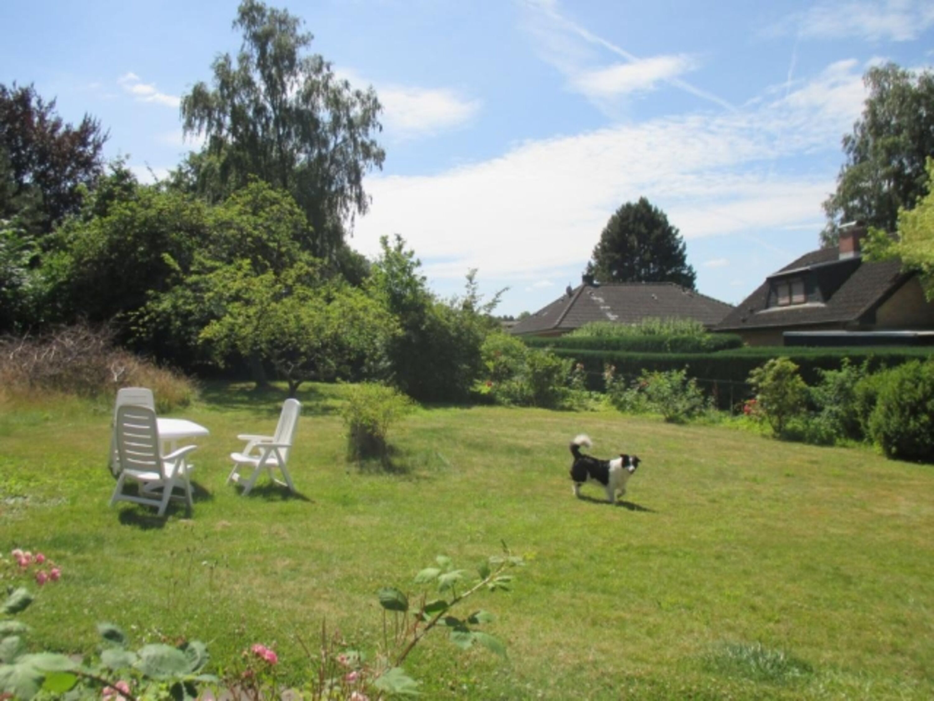 Bild 14