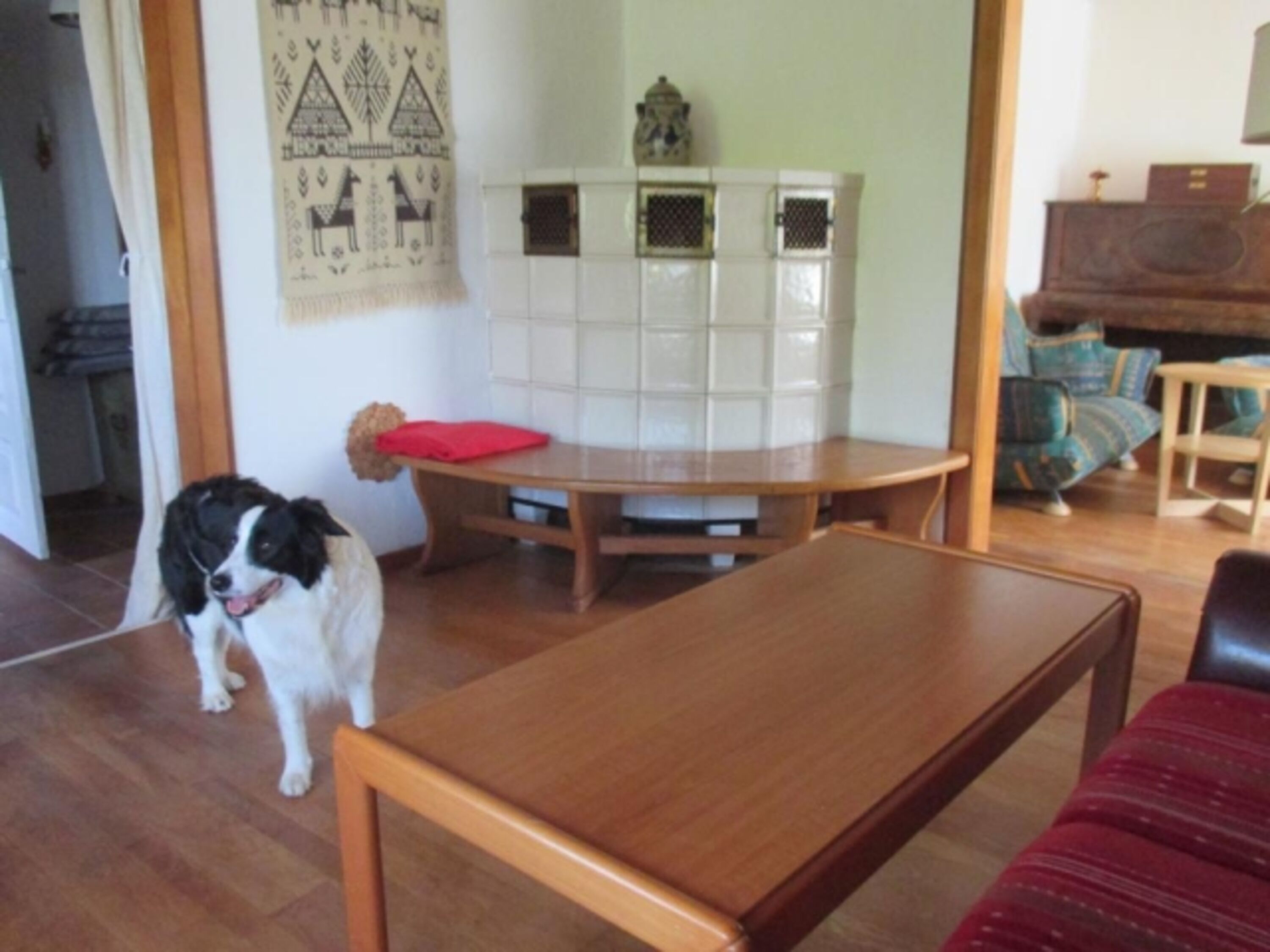 Bild 9