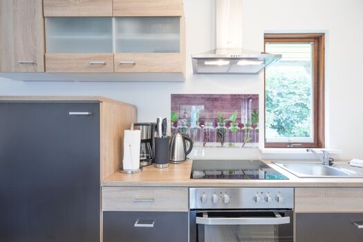 Friesenkrabbe - Praktisch eingerichtete kleine Küchenzeile mit allem Komfort 