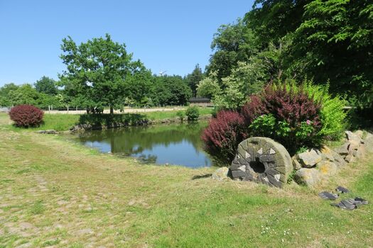 Badeteich für Hunde