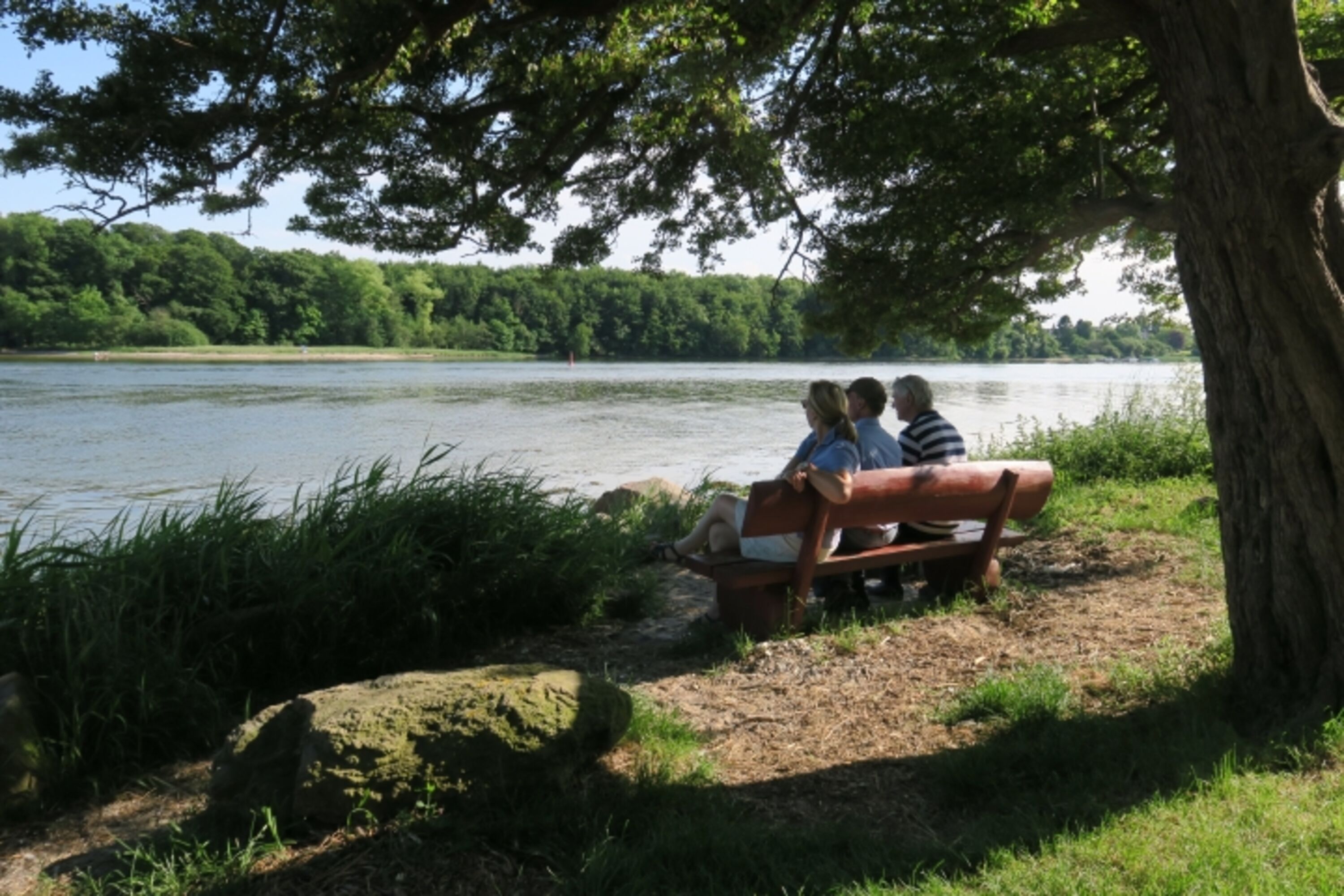 Schlei Spaziergang
