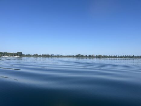Untersee zwischen Radolfzell und Moos / Iznang 
