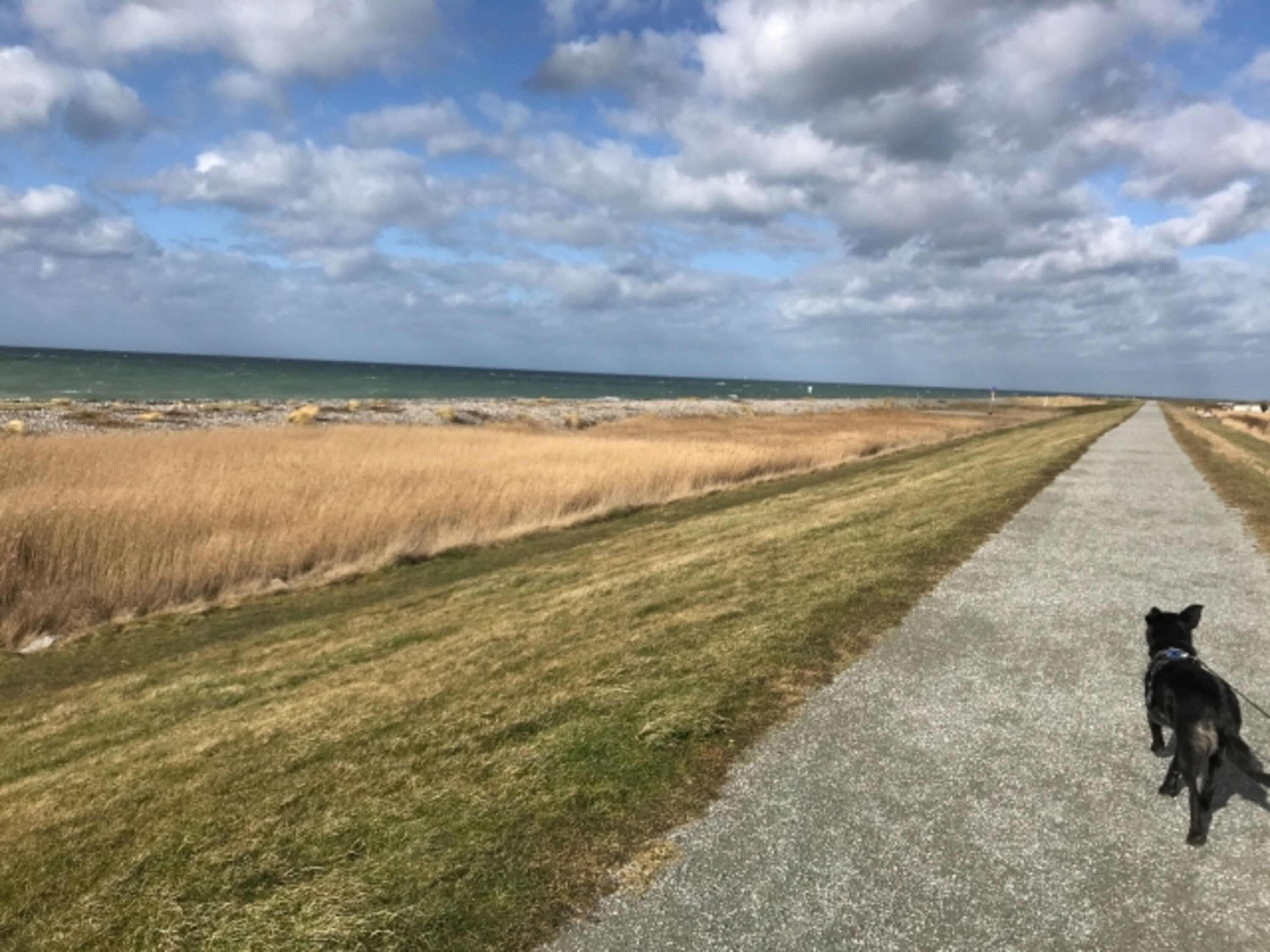 Deichspaziergang