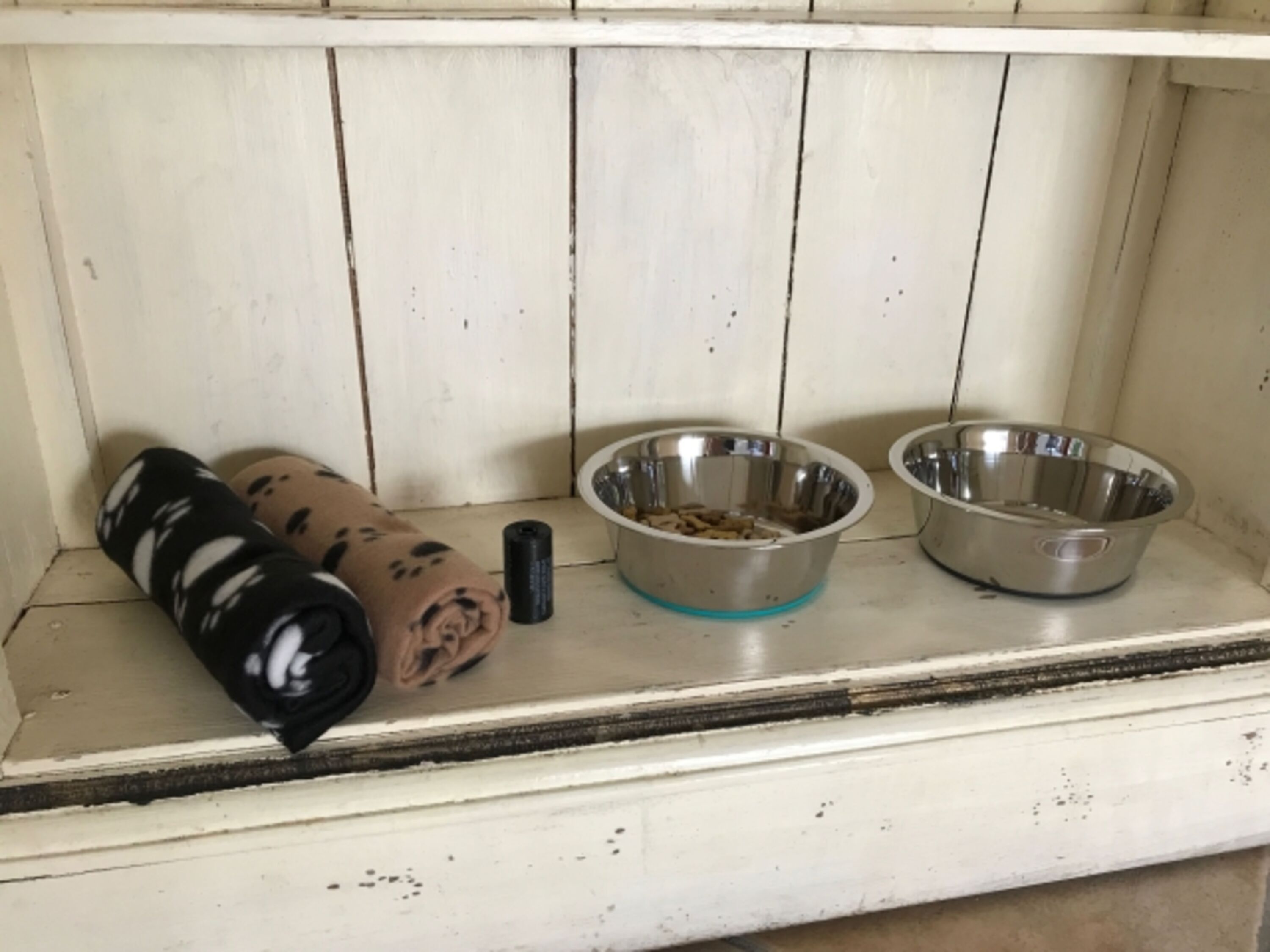 Hundeausstattung