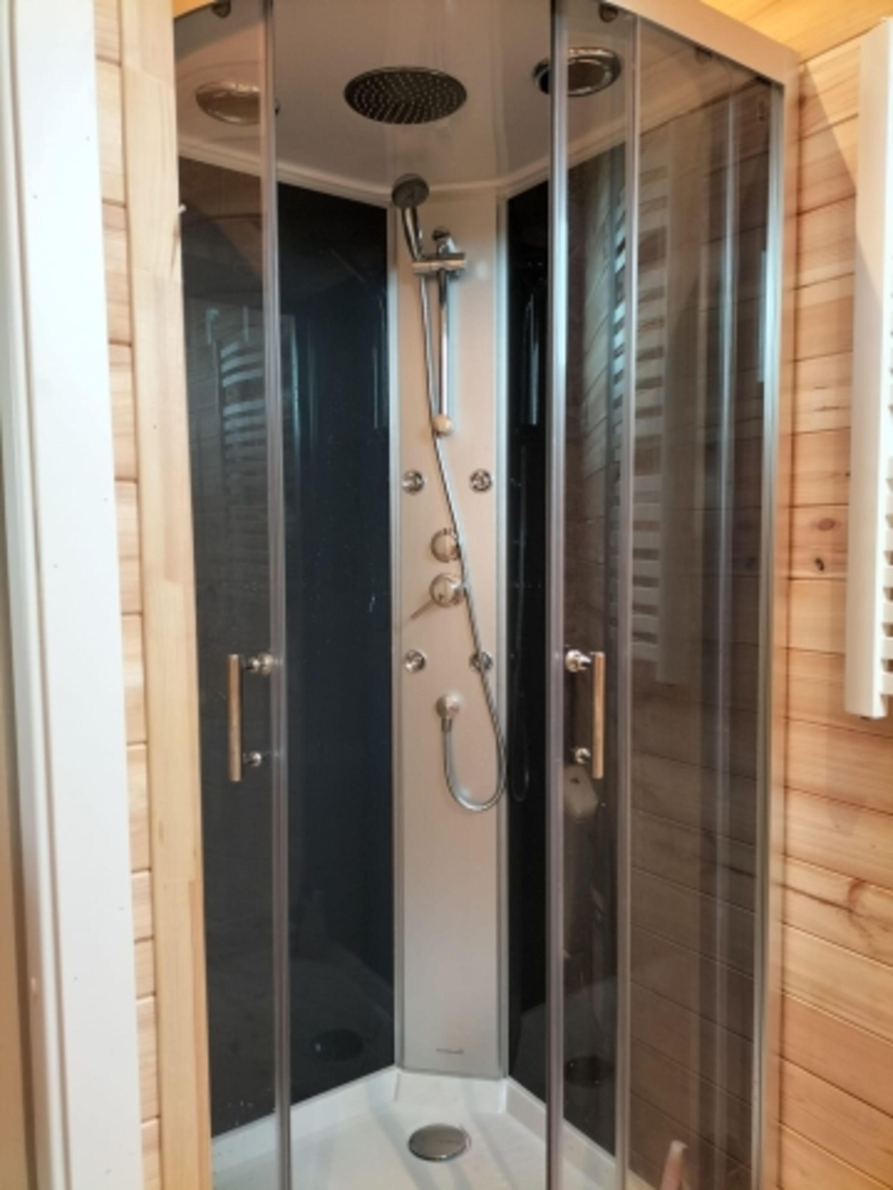 Moderne Massagedusche mit Regenkopf, Rückendüsen und Handbrause für ein echtes Spa-Erlebnis.