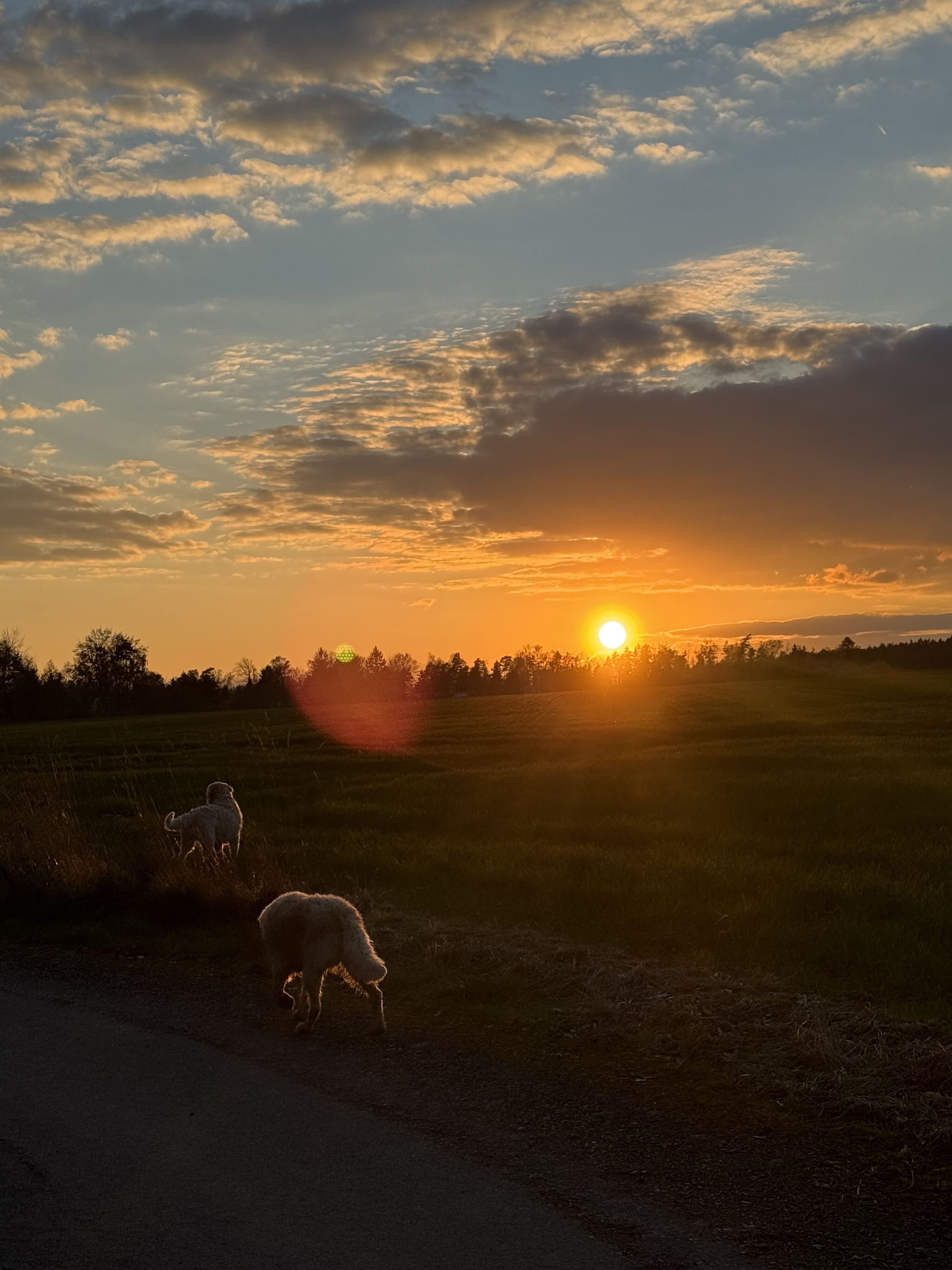 Sonnenuntergang