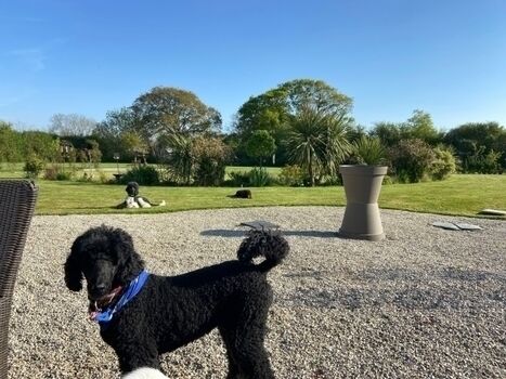 Hallo, ich bin CHIARA MIA mit meinem Freund Jazz