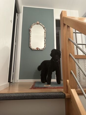 CHIARA MIA geht unsere Treppen ganz entspannt hoch. G