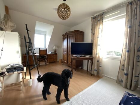 CHIARA MIA liebt diesen Raum, weil Frauchen hier auch mal arbeitet...