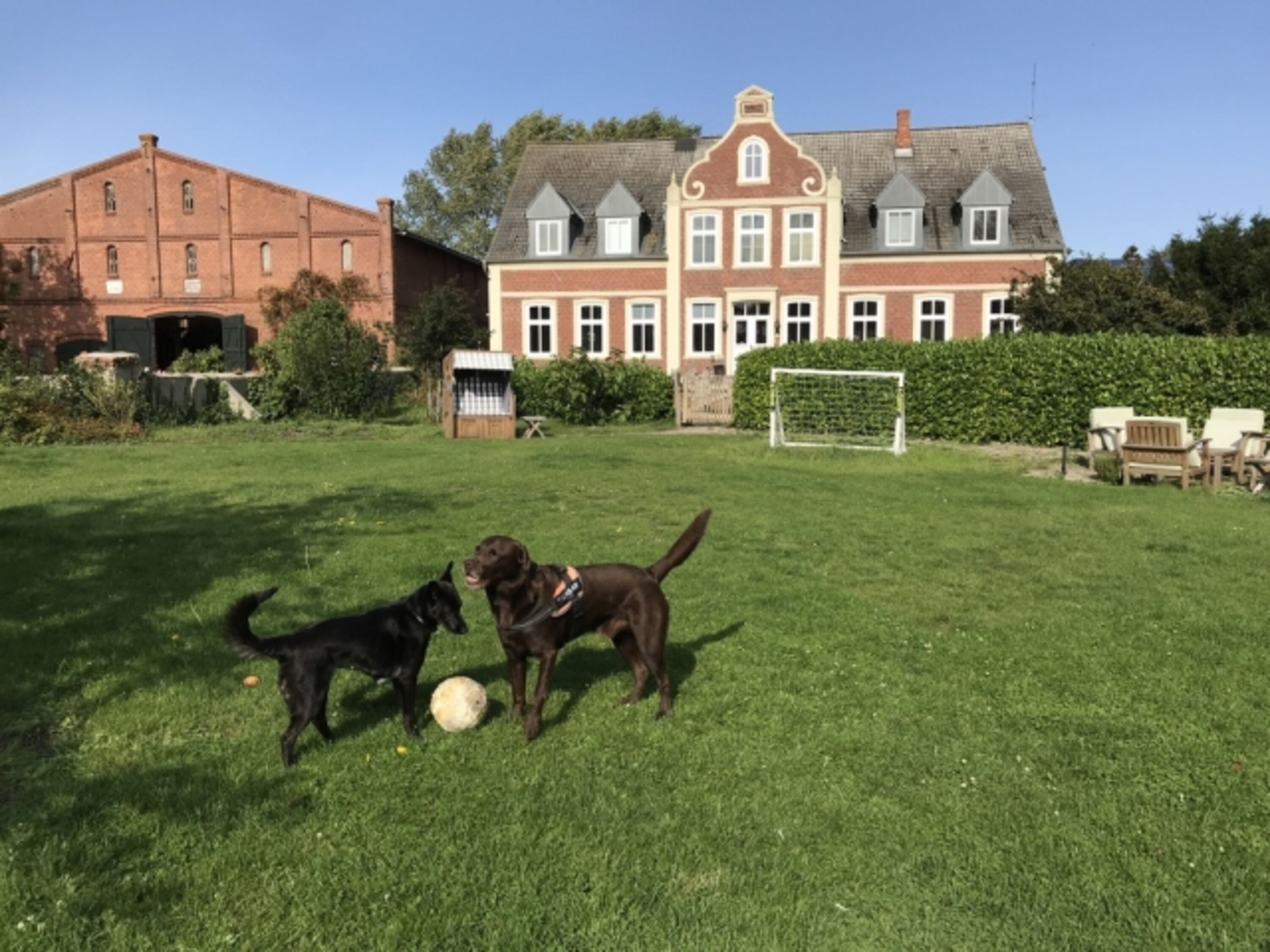 eingezäunte Hundespielwiese