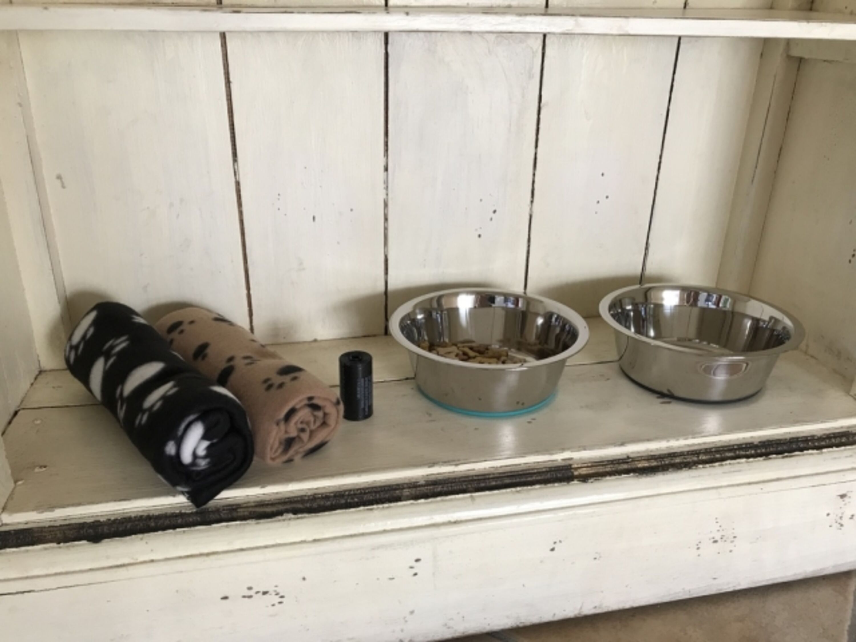 Hundeausstattung
