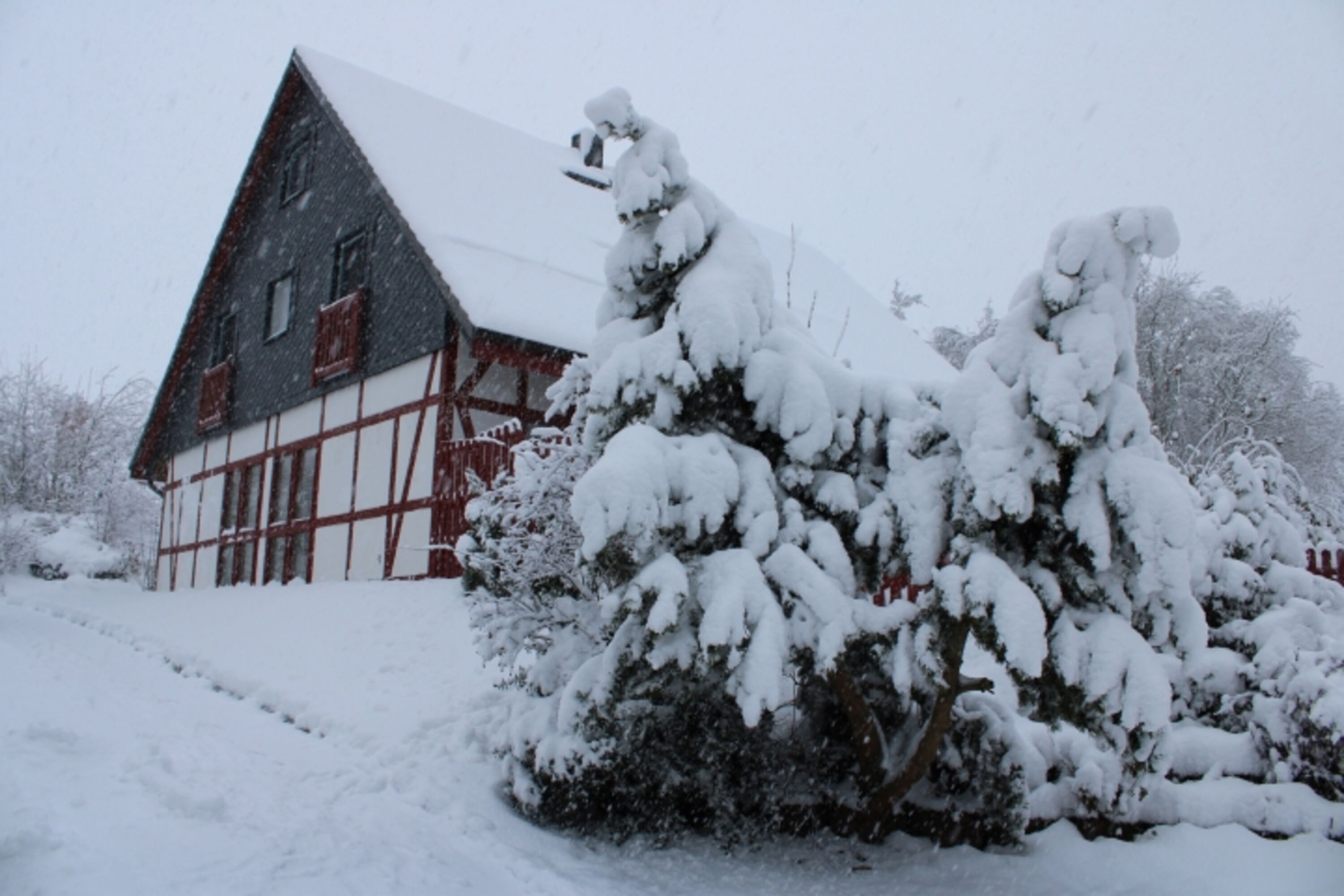 Winter im Dezember 