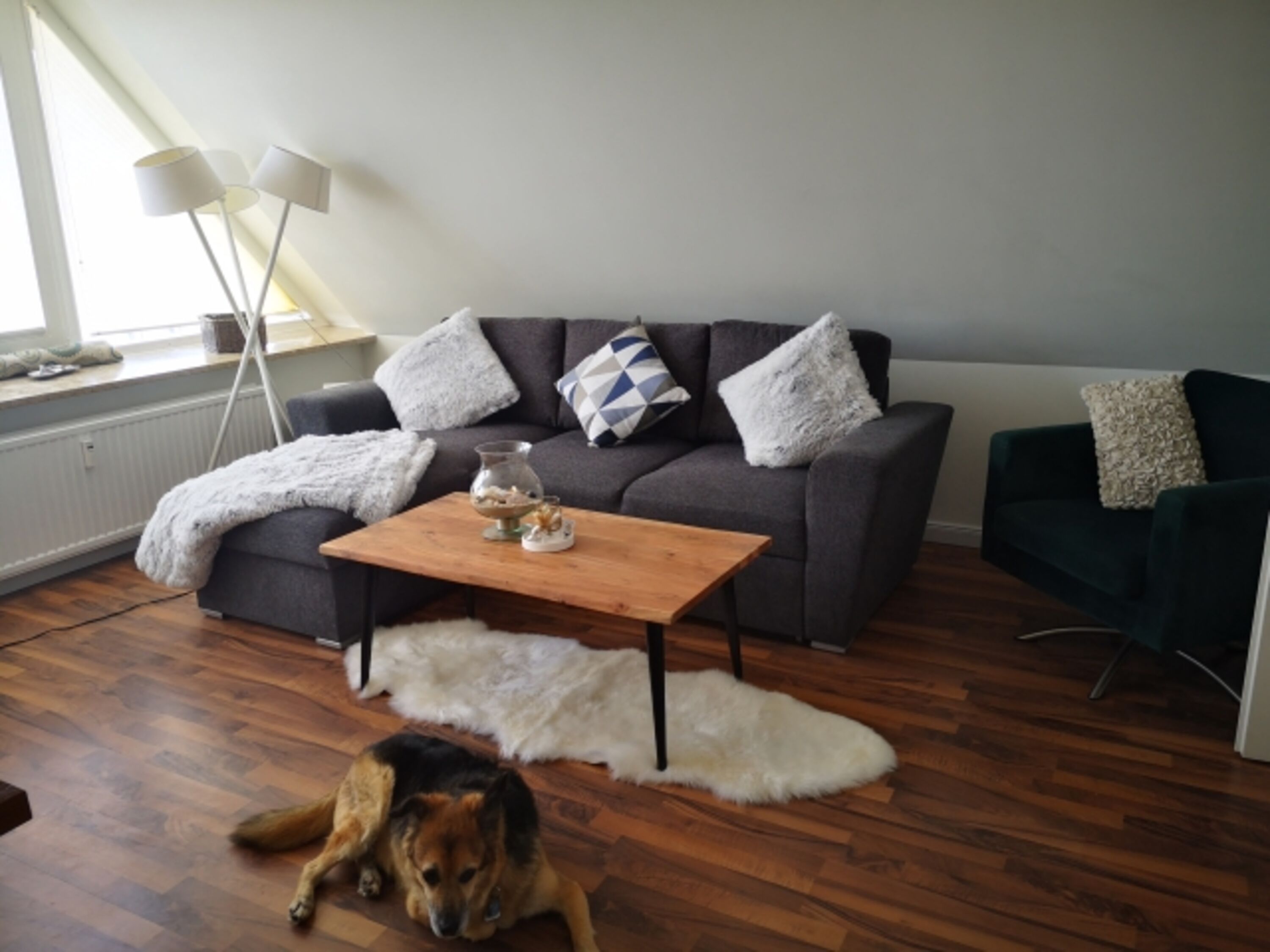 Bild 16