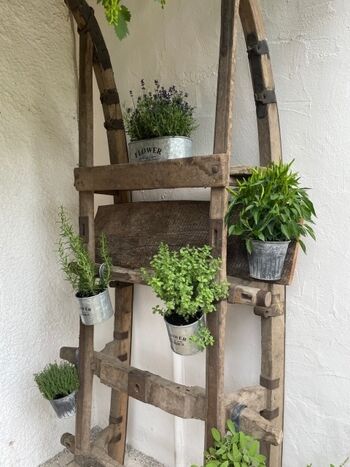 Kräuterbar auf der Terrasse