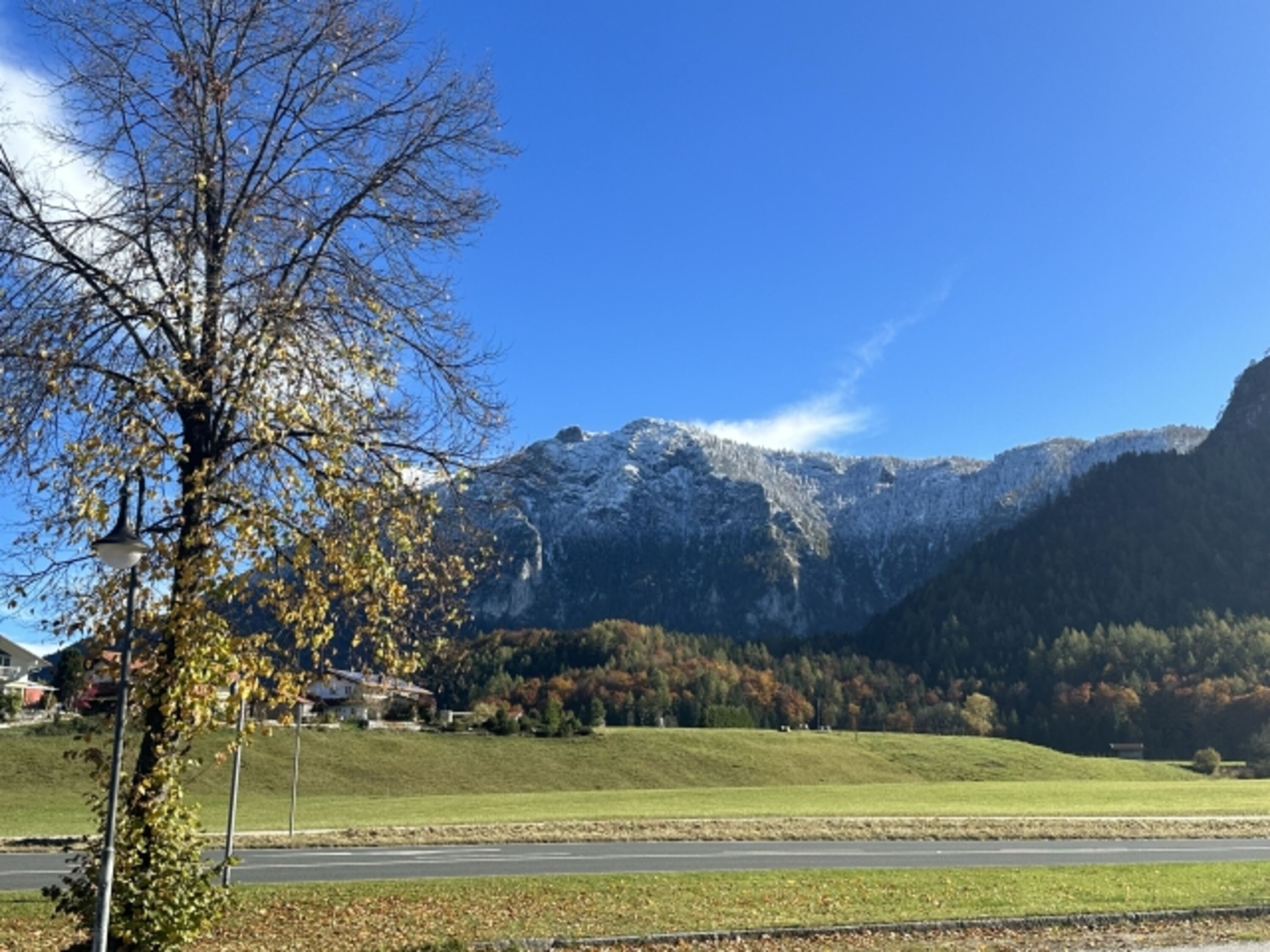 Bild 18