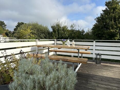 Picknickplatz Ferienhaus Hein Mück Ostsee