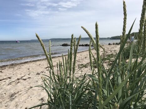 Ostseeidylle Ferienhaus Hein Mück 