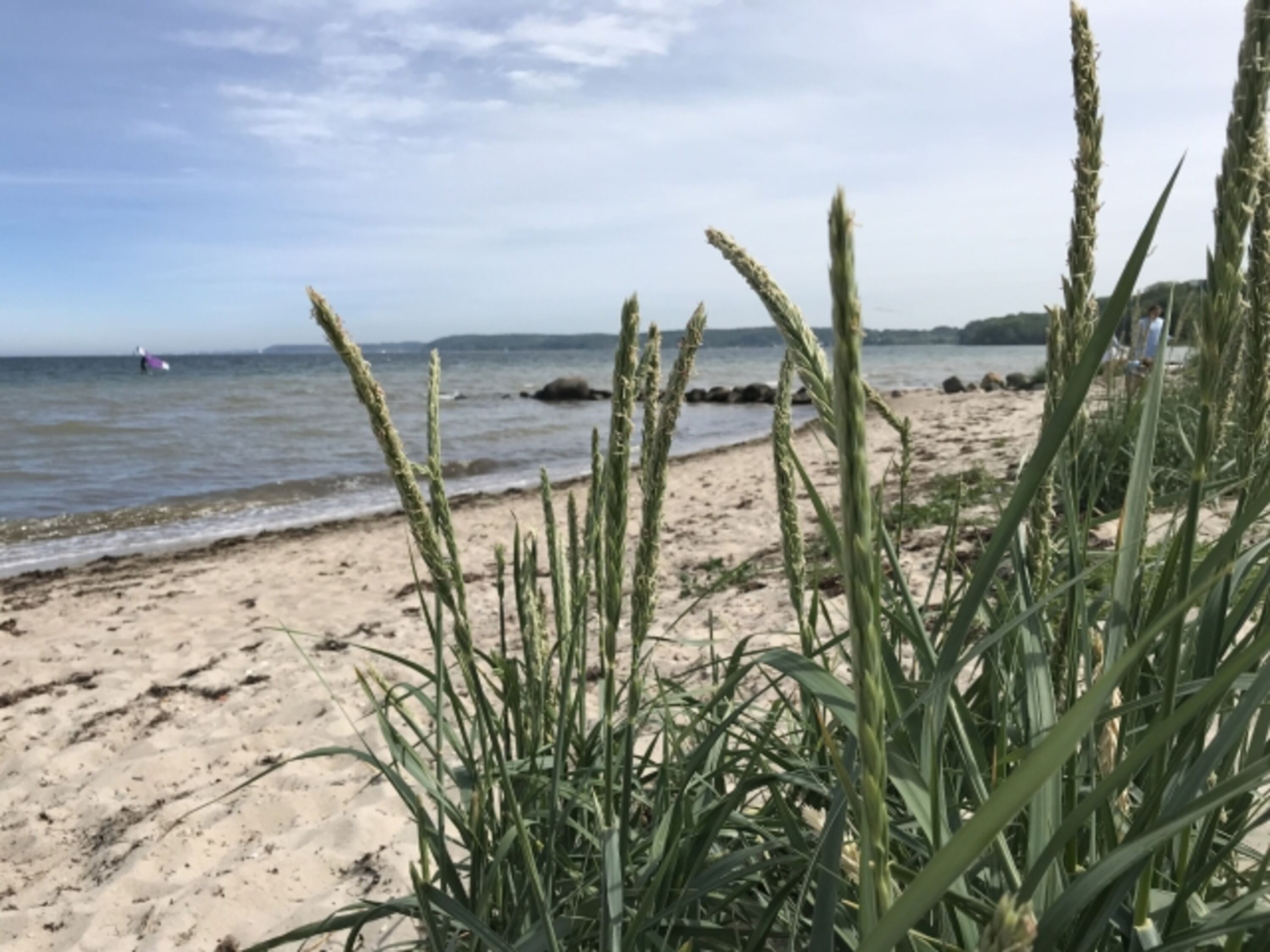 Ostseeidylle Ferienhaus Hein Mück 