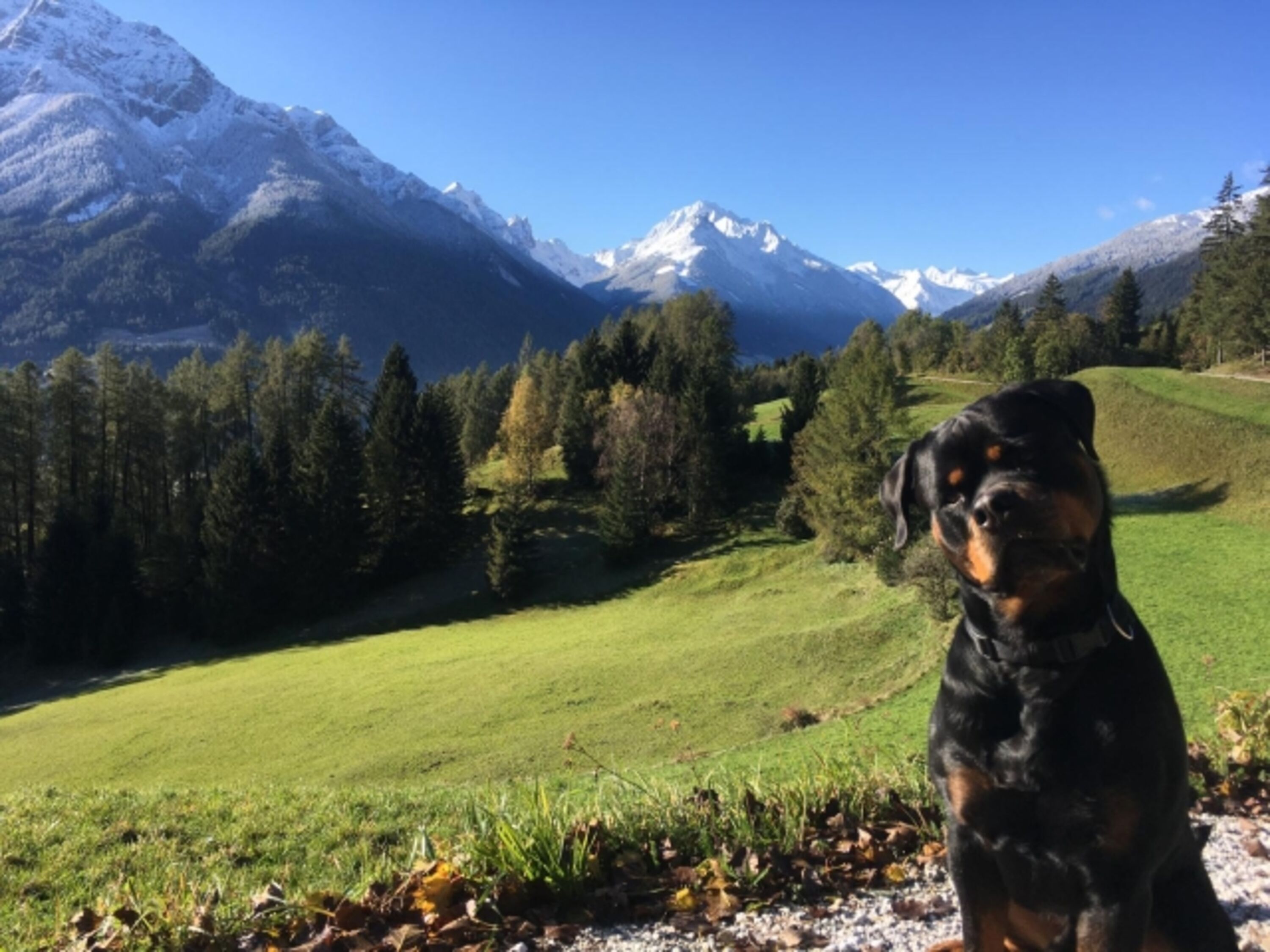 Bild 17