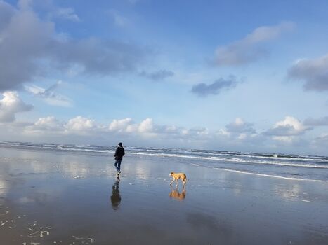 Strand Buren auf Ameland