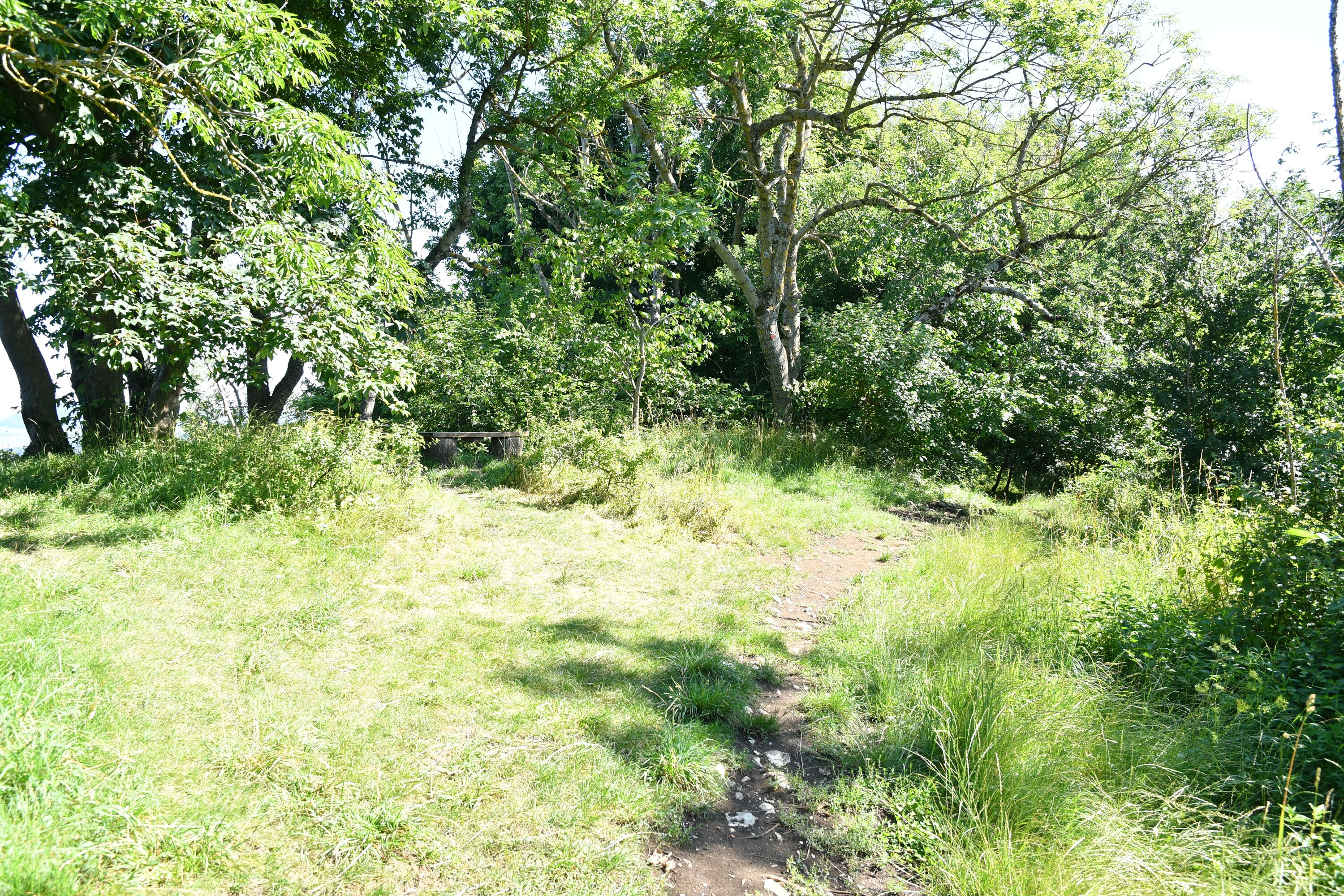 WANDERWEGE