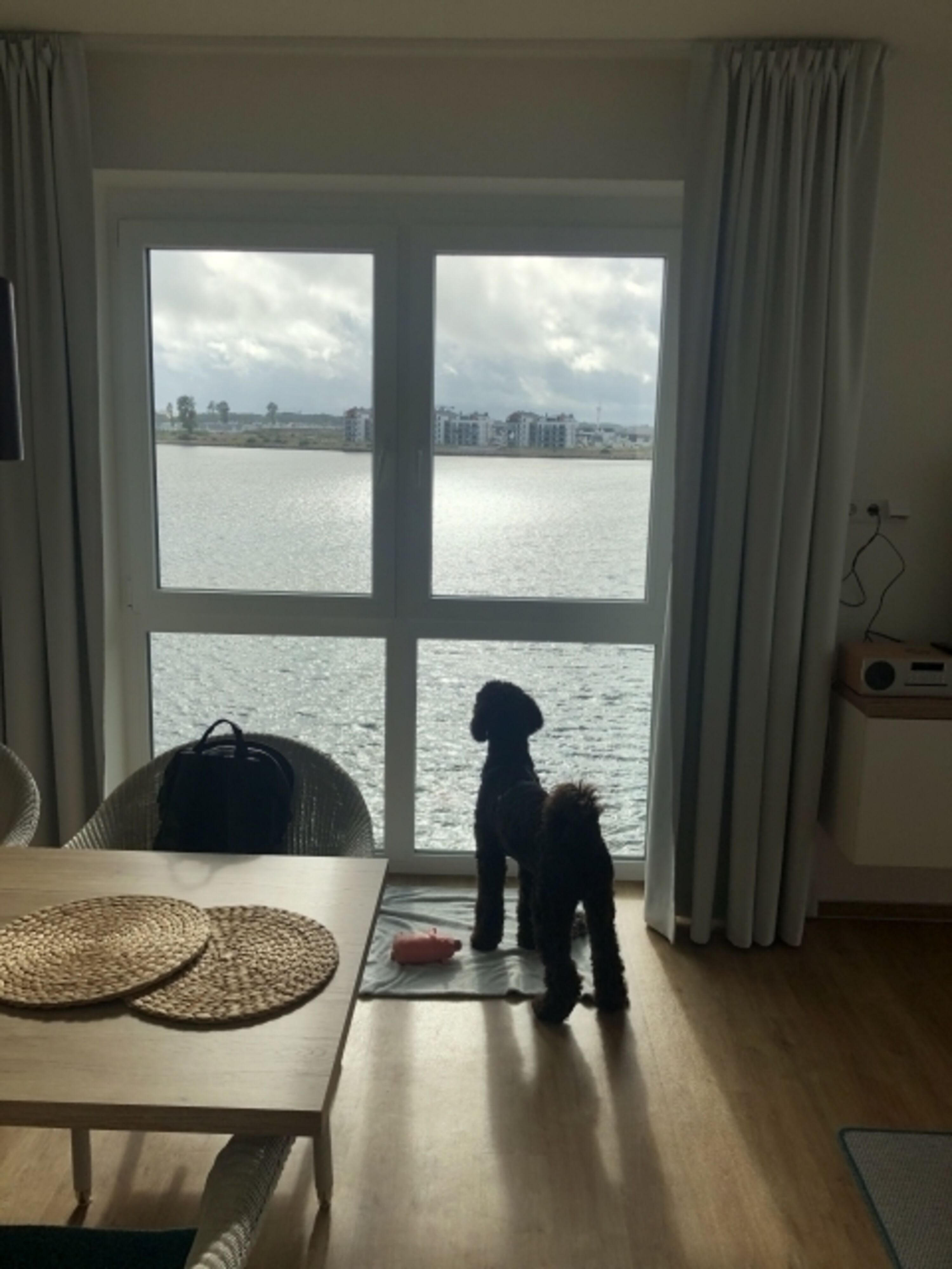 Wie auf einem Schiff. Es gibt für die Hunde immer etwas zum gucken und staunen