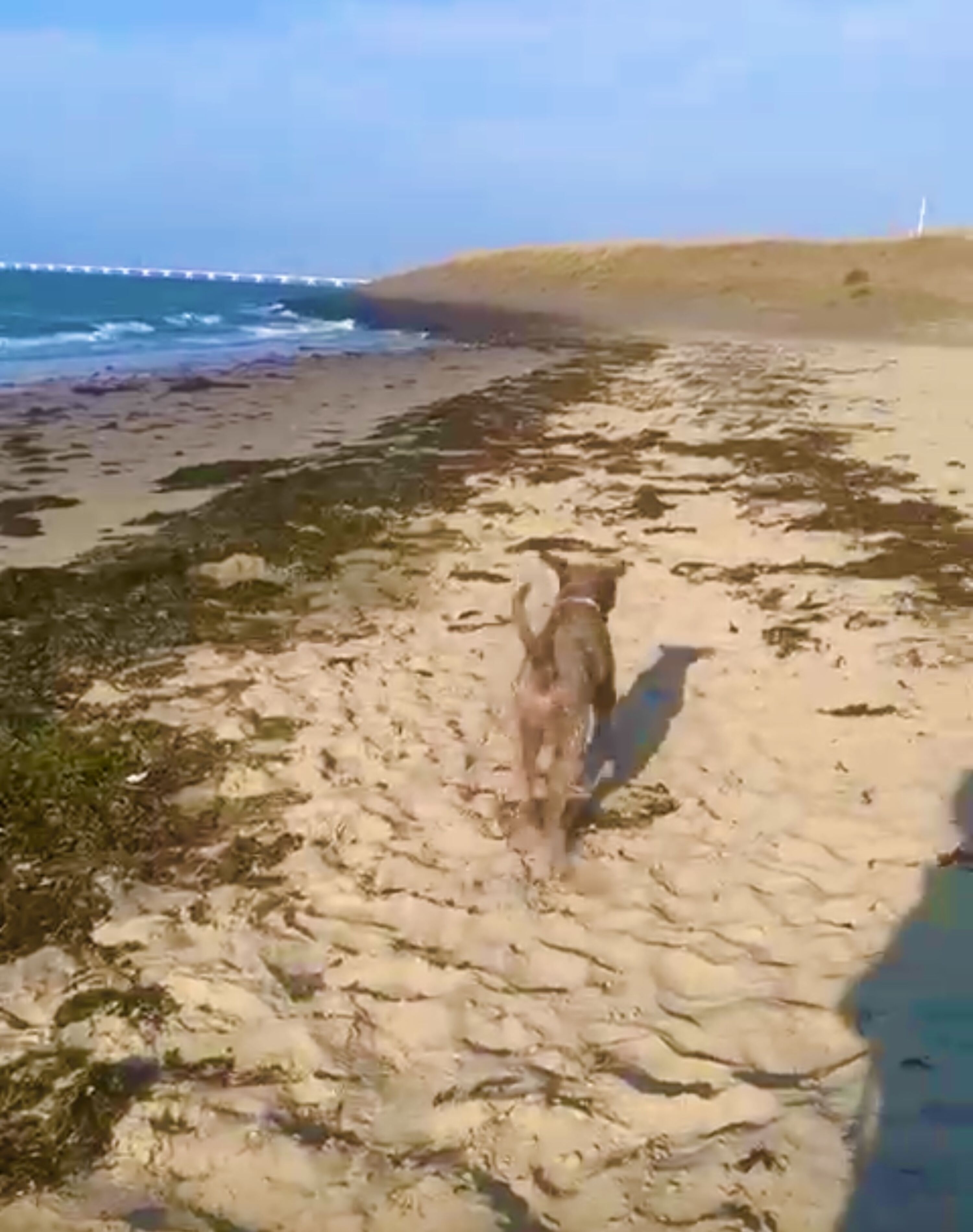 In 5 Minuten am kleinen Badestrand!!!