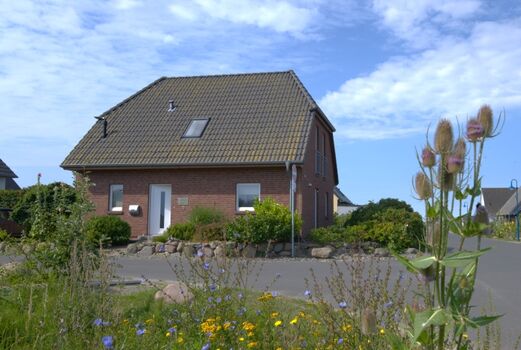 Ferienhaus Kranich - Hus von der Straßen aus