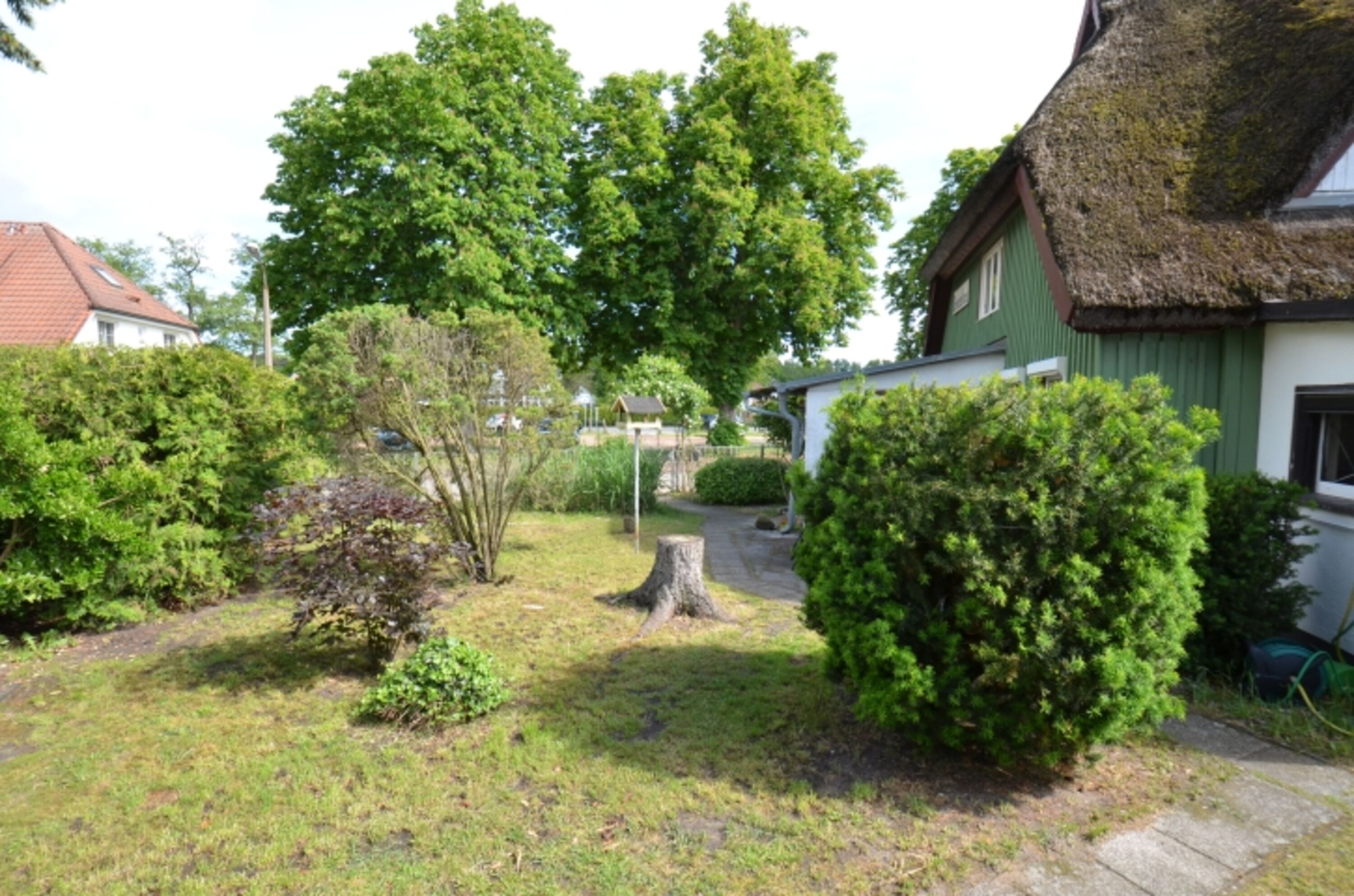 Bild 15
