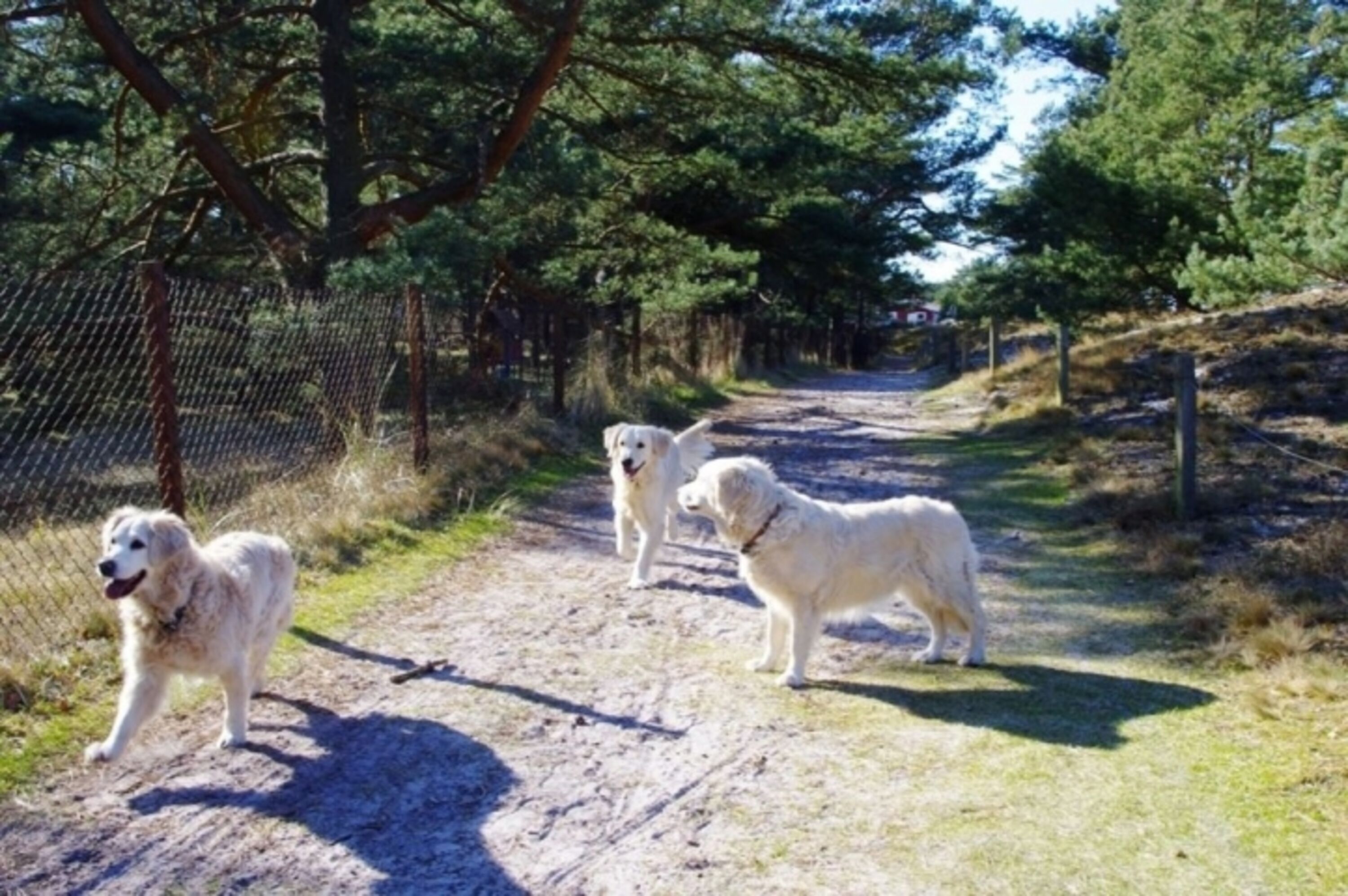 Bild 22