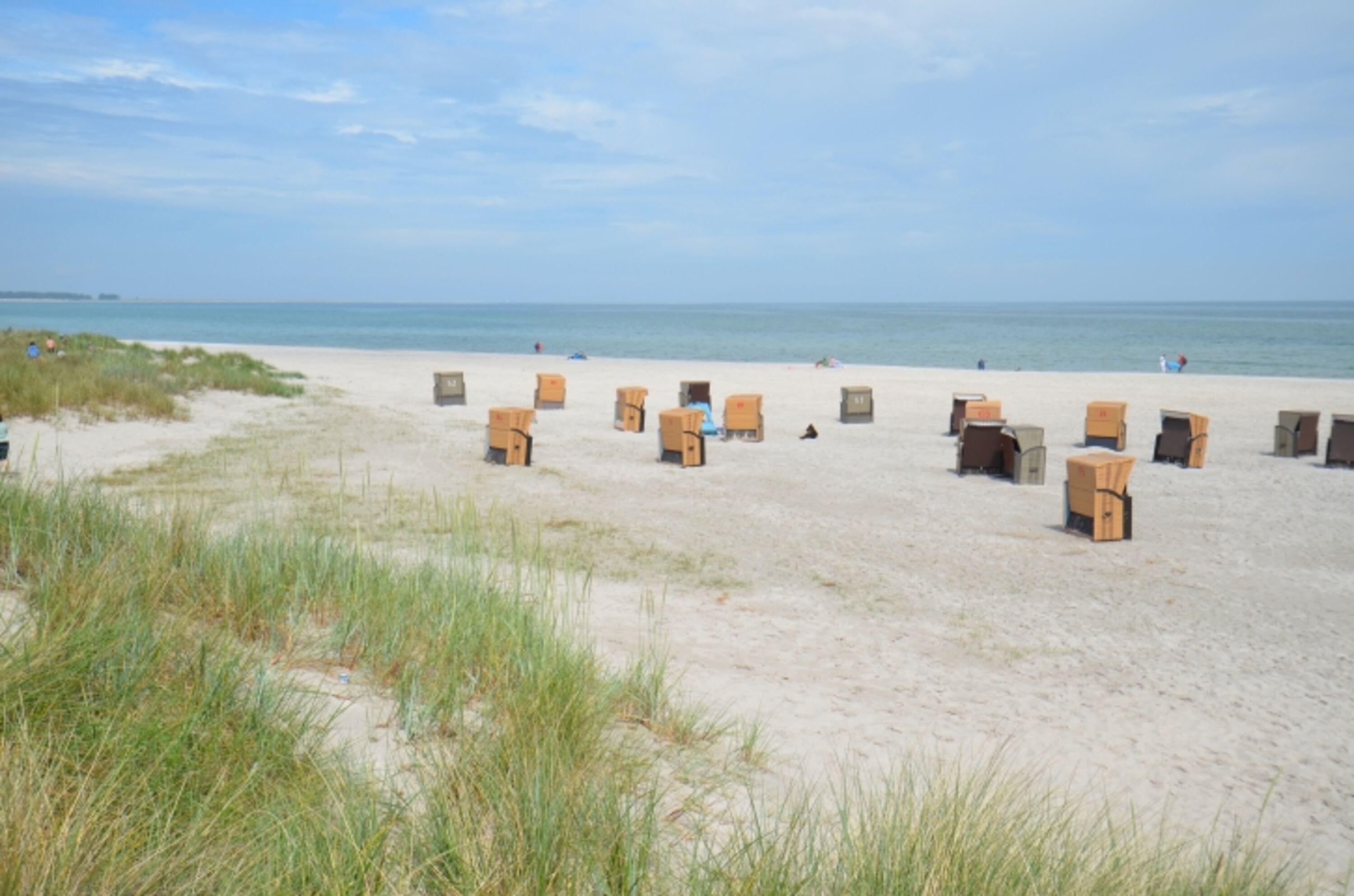 Bild 19