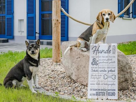 Ihre Vierbeiner sind bei uns herzlich willkommen