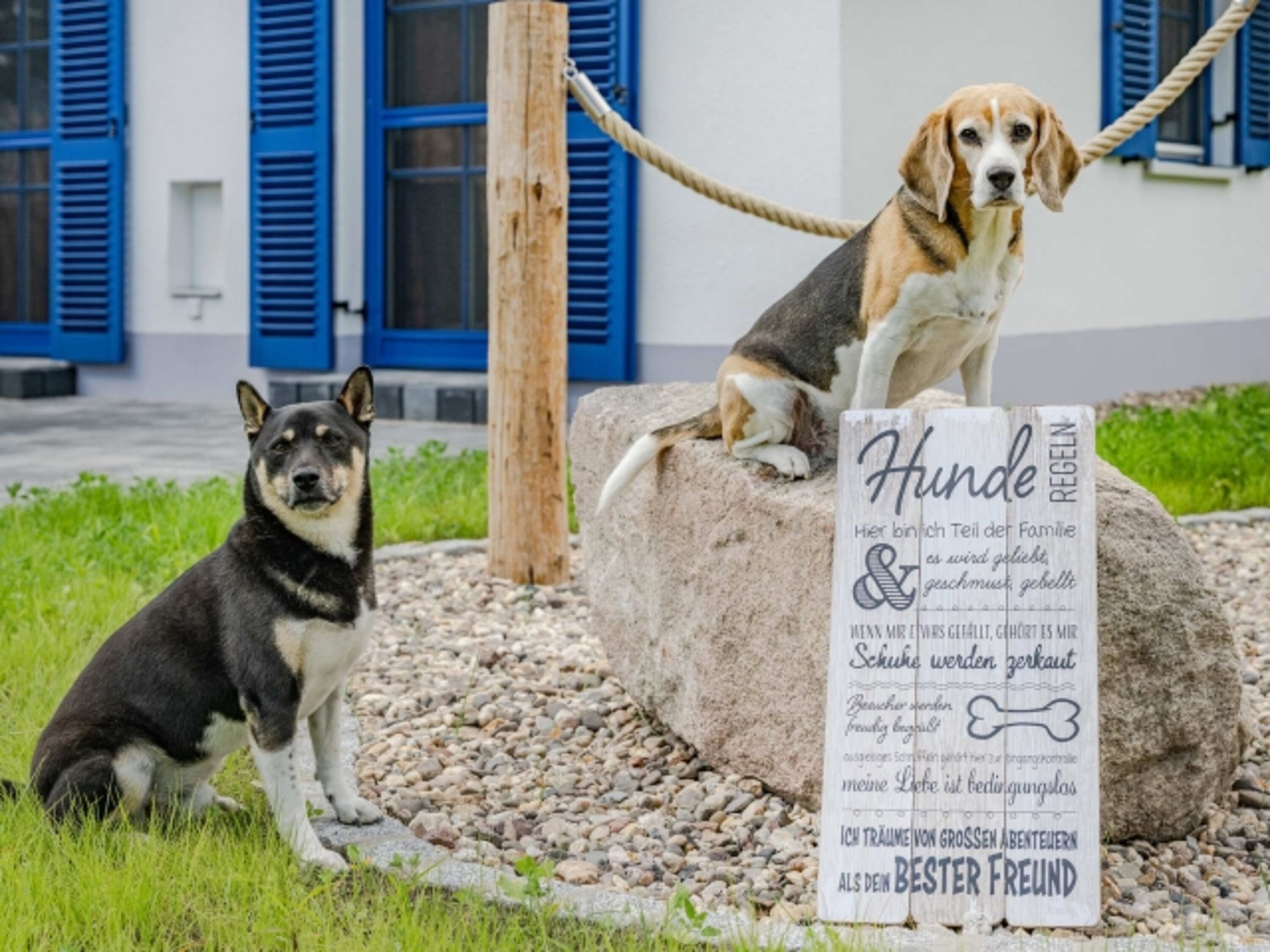 Ihre Vierbeiner sind bei uns herzlich willkommen