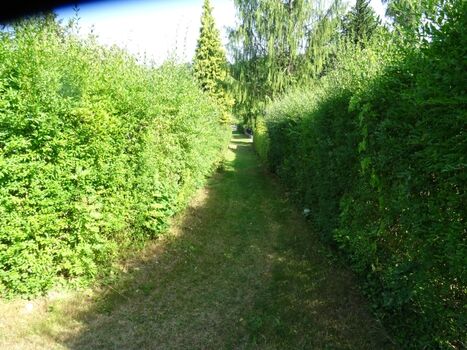 Wetterabhängige Zufahrt