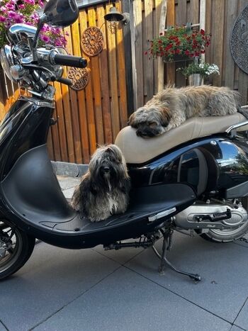 Rollertour ist wohl geplant ...