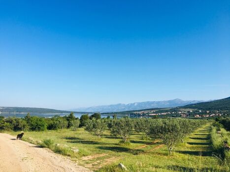 traumhafte Landschaften in fußläufiger Nähe
