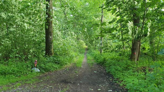 Wanderweg direkt am Haus