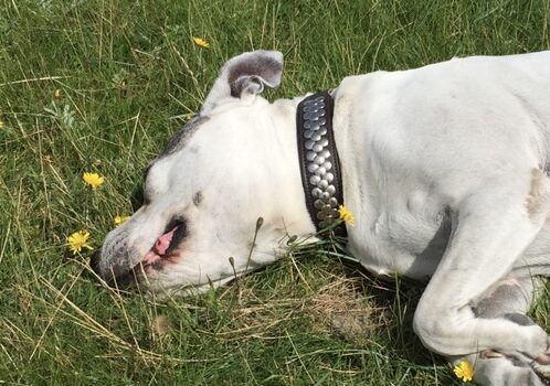 Wunderbar hier... komme gerne wieder!!!