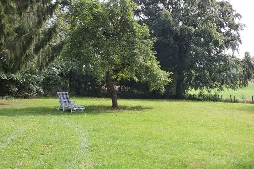 Blick vom Haus in den Garten